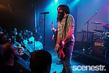Photos: The Beards - The Gov, Adelaide - 27 October, 2016