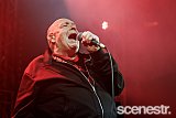 Photos: Bad Manners - The Triffid, Brisbane - 10 April, 2025