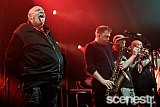 Photos: Bad Manners - The Triffid, Brisbane - 10 April, 2025