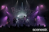 Photos: Buckcherry - The Triffid, Brisbane - 28 September, 2024