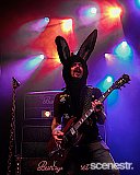 Photos: Bunny Racket - The Tivoli, Brisbane - 2 July, 2024