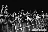 Photos: Fontaines D.C. - Palace Foreshore, Melbourne - 8 March, 2025