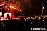 Photos: TISM - Sidney Myer Music Bowl, Melbourne - 9 November, 2024