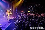Photos: Michael Franti & Spearhead - The Tivoli, Brisbane - 16 November, 2024