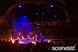 Photos: Woodford Folk Festival Bands - Woodfordia, Sunshine Coast - 27-31 December 2015 & 1 January, 2016