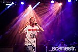 Photos: Laneway Festival Bands - Brisbane Showgrounds - 6 February, 2016