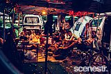 Socials: Jungle Love Festival - Borumba Deer Park, Sunshine Coast - 27 & 28 November, 2015