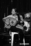 Photos: Woodford Folk Festival Bands - Woodfordia, Sunshine Coast - 27-31 December 2015 & 1 January, 2016