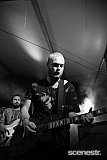 Photos: Woodford Folk Festival Bands - Woodfordia, Sunshine Coast - 27-31 December 2015 & 1 January, 2016