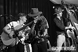 Photos: Woodford Folk Festival Bands - Woodfordia, Sunshine Coast - 27-31 December 2015 & 1 January, 2016