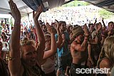 Photos: Woodford Folk Festival Bands - Woodfordia, Sunshine Coast - 27-31 December 2015 & 1 January, 2016