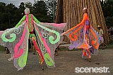 Photos: Woodford Folk Festival Bands - Woodfordia, Sunshine Coast - 27-31 December 2015 & 1 January, 2016