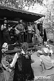 Photos: Woodford Folk Festival Bands - Woodfordia, Sunshine Coast - 27-31 December 2015 & 1 January, 2016