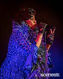 Photos: Macy Gray - The Star, Gold Coast - 9 July, 2024