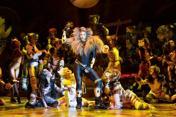 Cats InternationalCast 2
