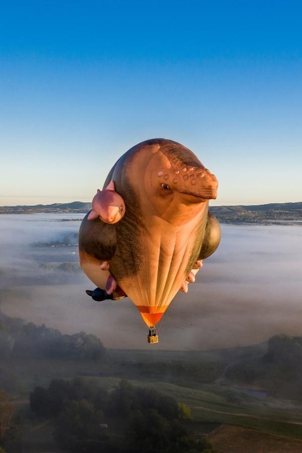Patricia Piccinini Skywhales