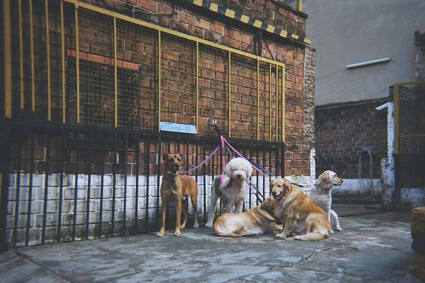 IC Suelem A Buenos Aires