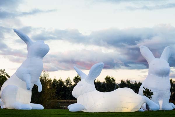 Intrude Amanda Parer