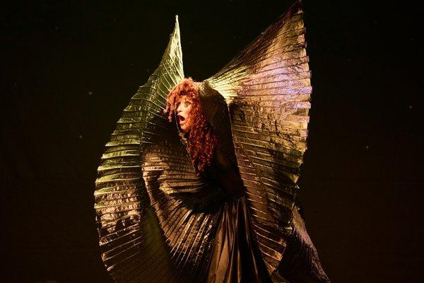 Evening Without Kate Bush 2