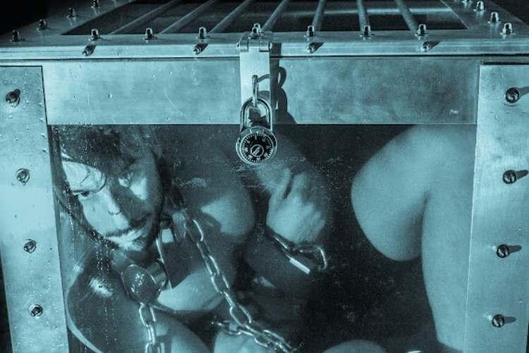 Now You See Me Live 2