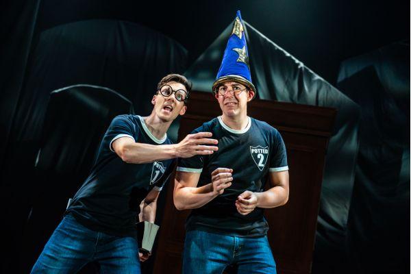 Potted Potter WizardHat
