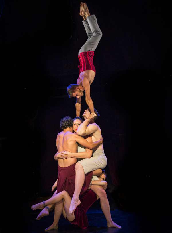 Driftwood AngusStewart1