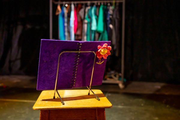 DearDiary TraceyLeighImages1