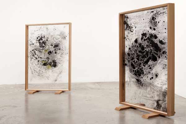 DHainesElectrostaticWavefro