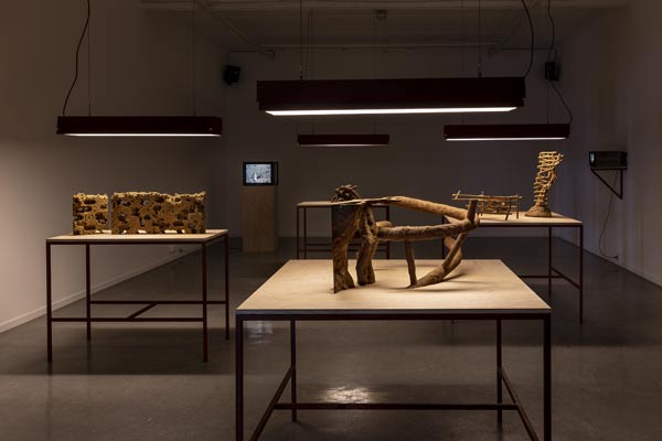 Termite Andrew Curtis2