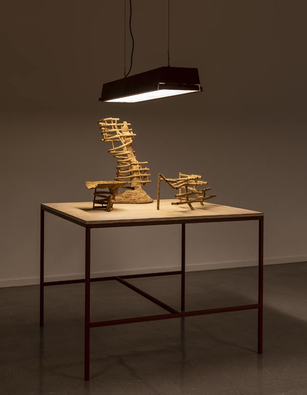 Termite Andrew Curtis3