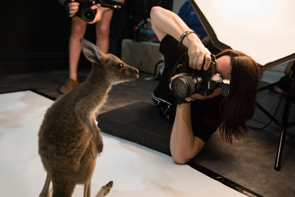 RaisingJoey CityOfVincent