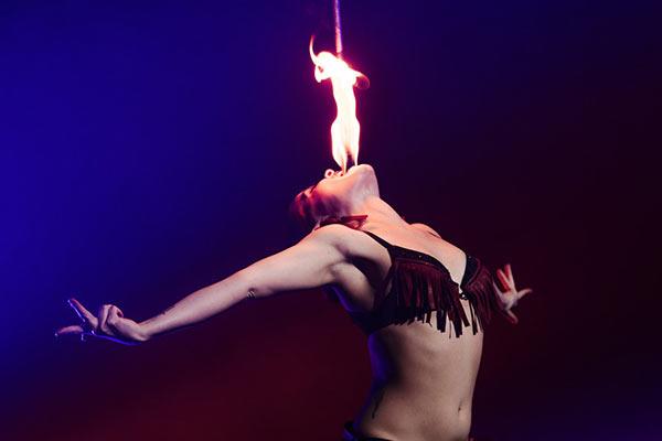 Purple Rabbit Rides Again 2