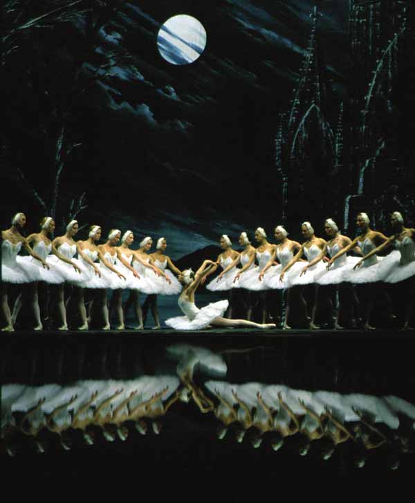 swanlake2