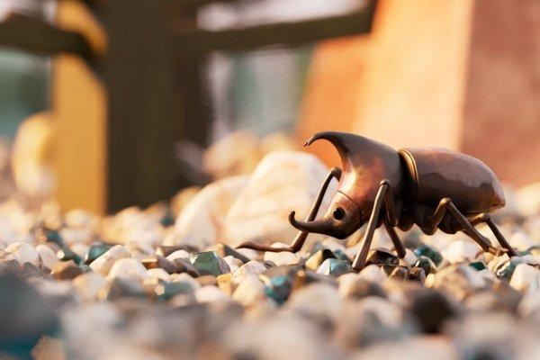 Andrew Kimberley beetle1