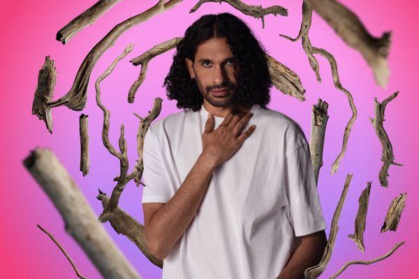 Blackfella Yella Tree 2025 1