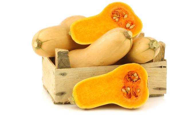 Butternut-Squash