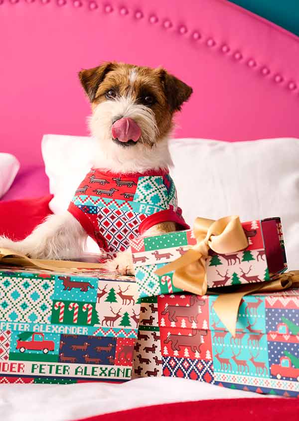 PeterAlexander2021 1