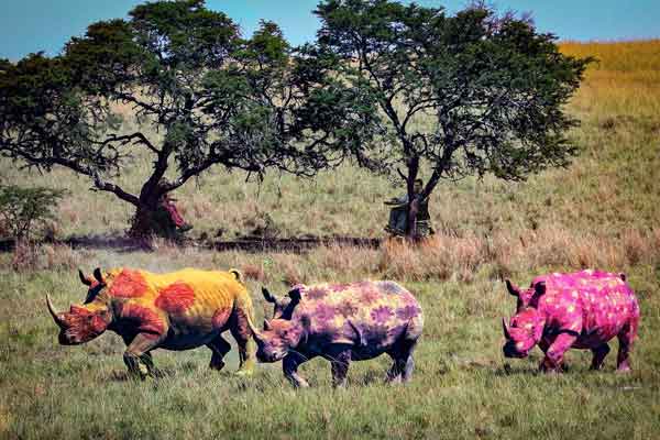 Textile In Bloom.3.10 15