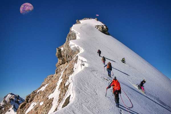 Textile In Bloom.5.10 15