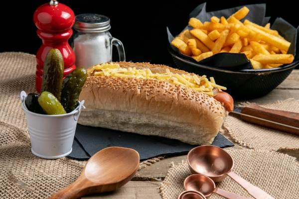 5dogs traditionaldog