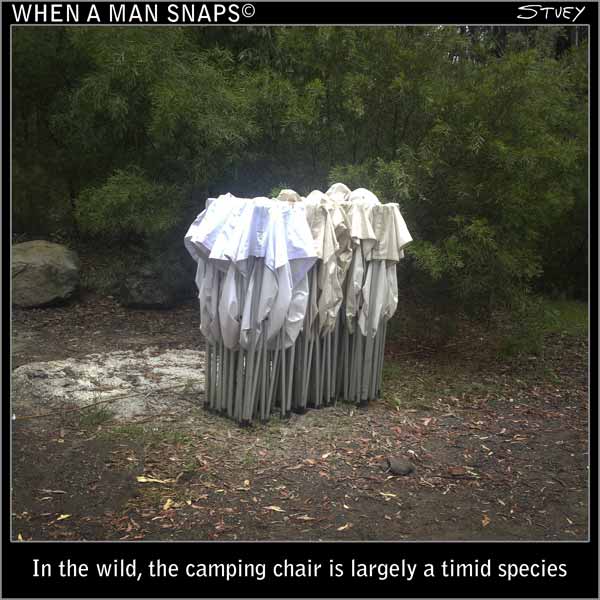 Timid Camping Chairs
