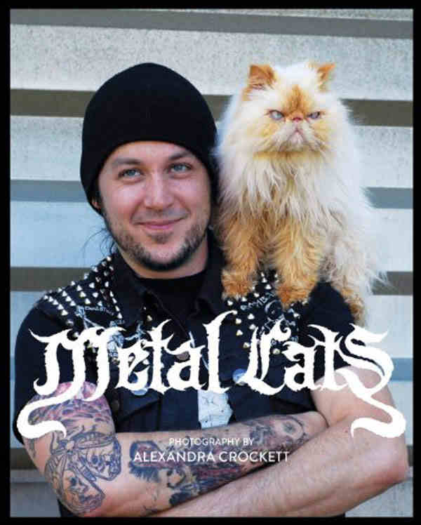 Metal Cats 5