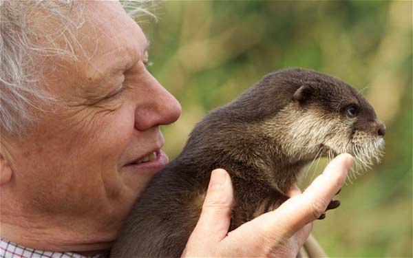 David Attenborough 2