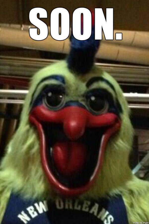 Pierre-The-Pelican-4