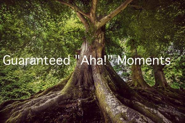 Feel Good Field Day.2