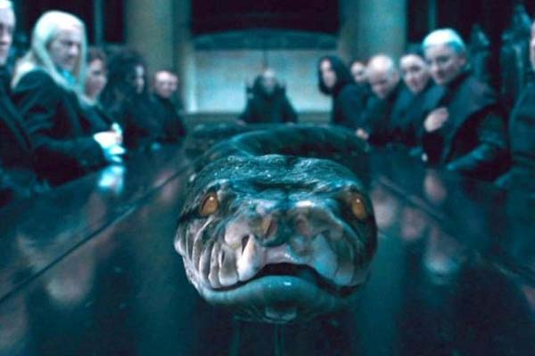 Harry Potter snake