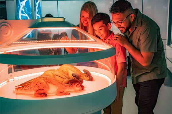 Jurassic World Exhibition2