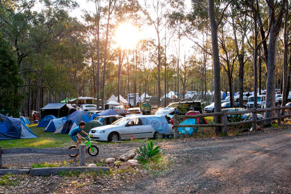 Dashville Skyline Camping