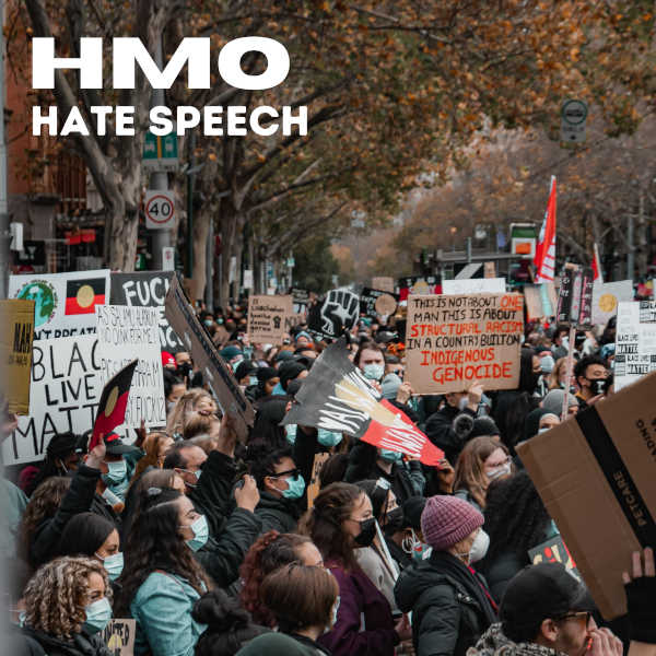 HMO Hate Speech artwork credit Tony Zhen