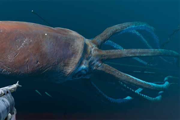 Giant Squid